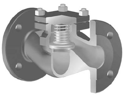 ARI-Check valve